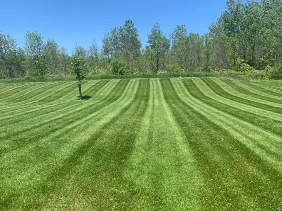 Beautiful striped mowed residential lawn