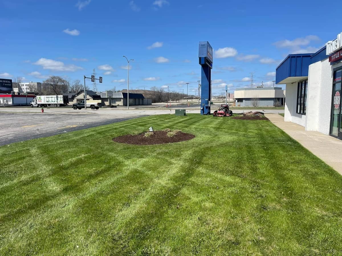commercial spring cleanup