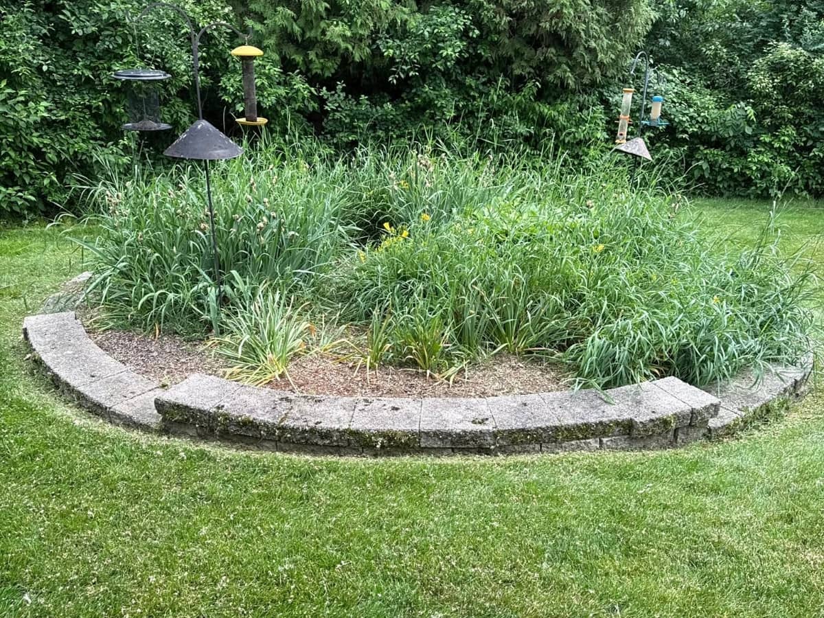 Backyard garden design for a home