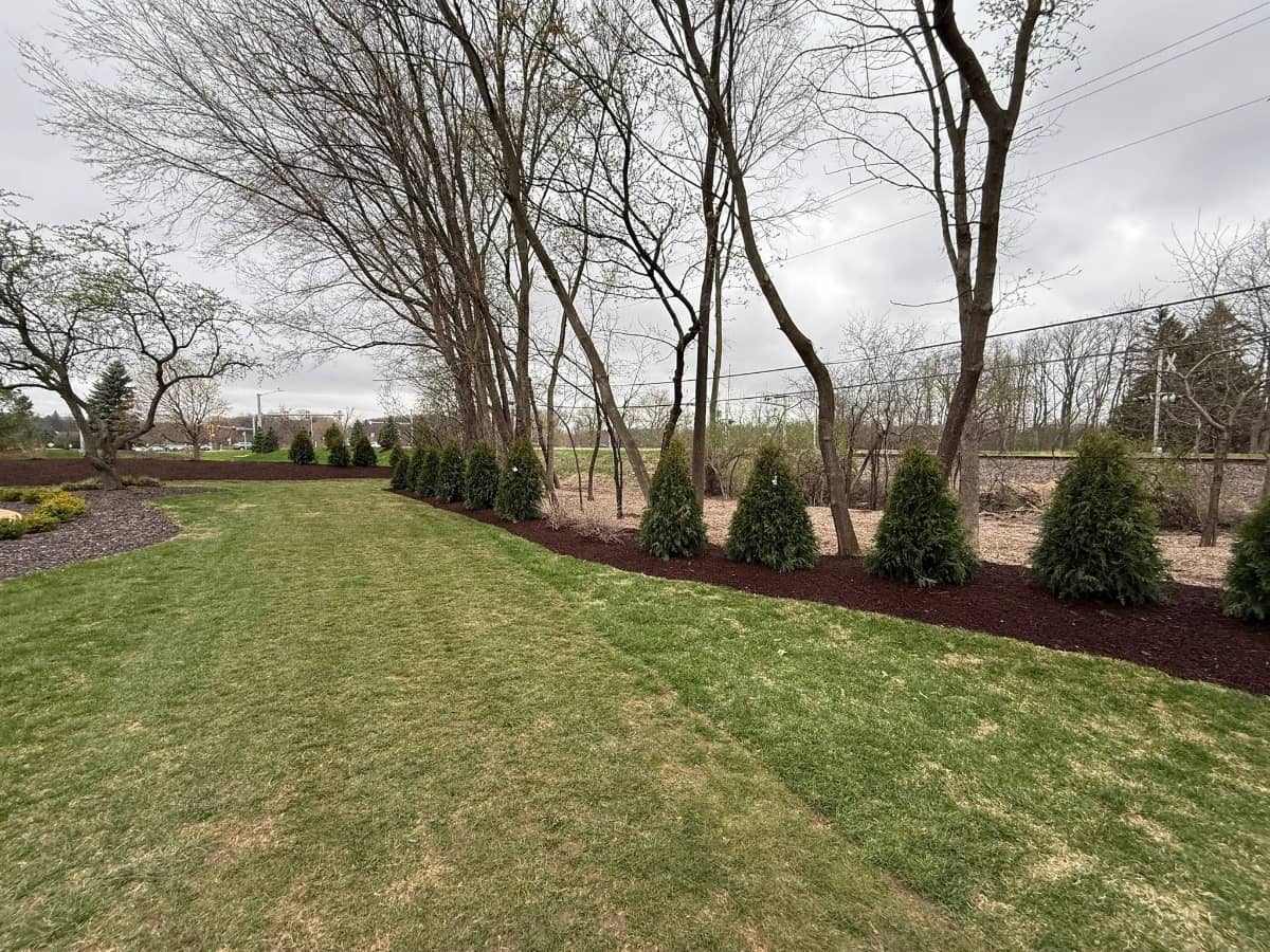 Large lawn landscaping project in the Milwaukee area