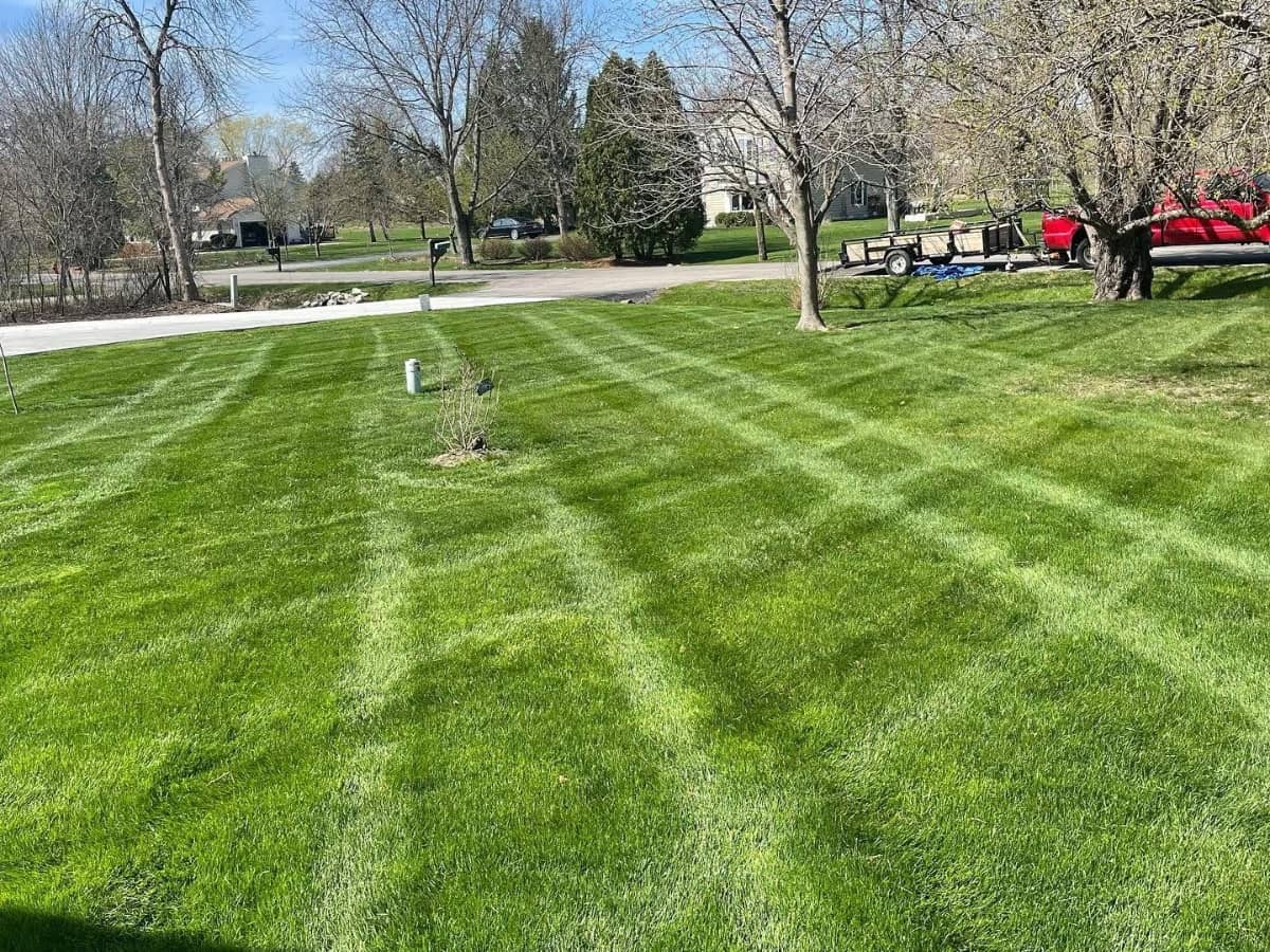 mowed lawn in Mequon, WI
