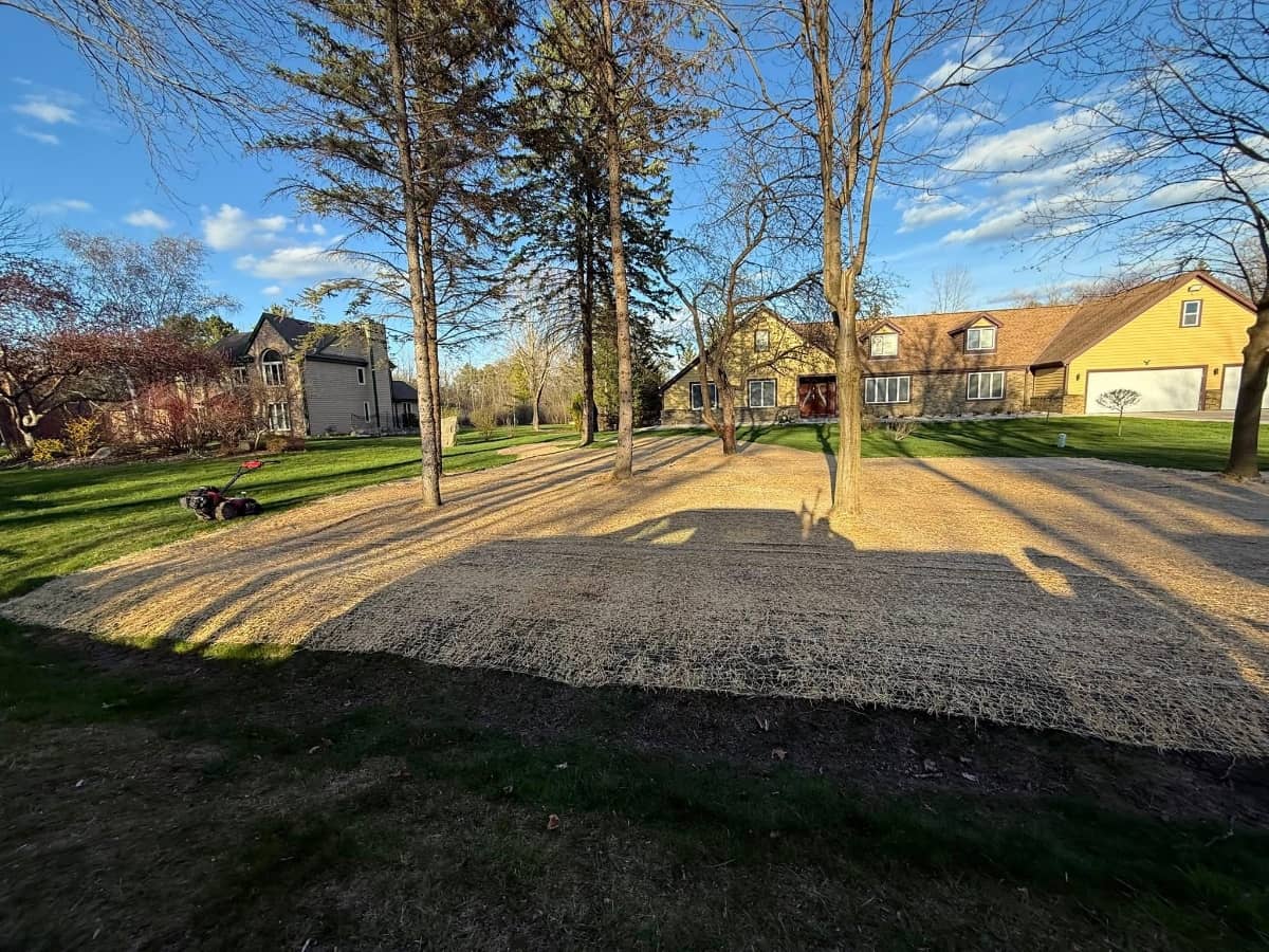 seeded lawn preparation